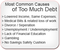 Causes of Debt